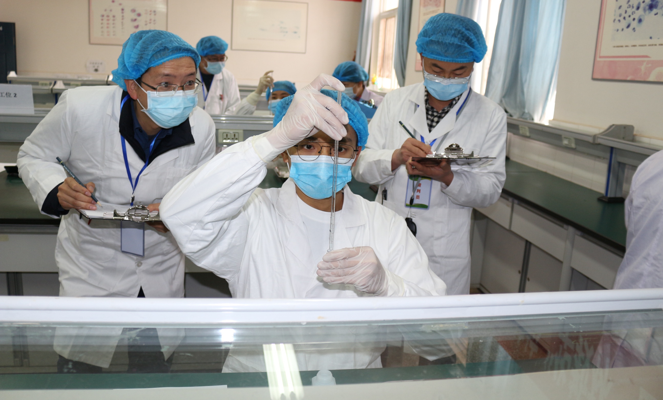 白细胞计数项目比赛