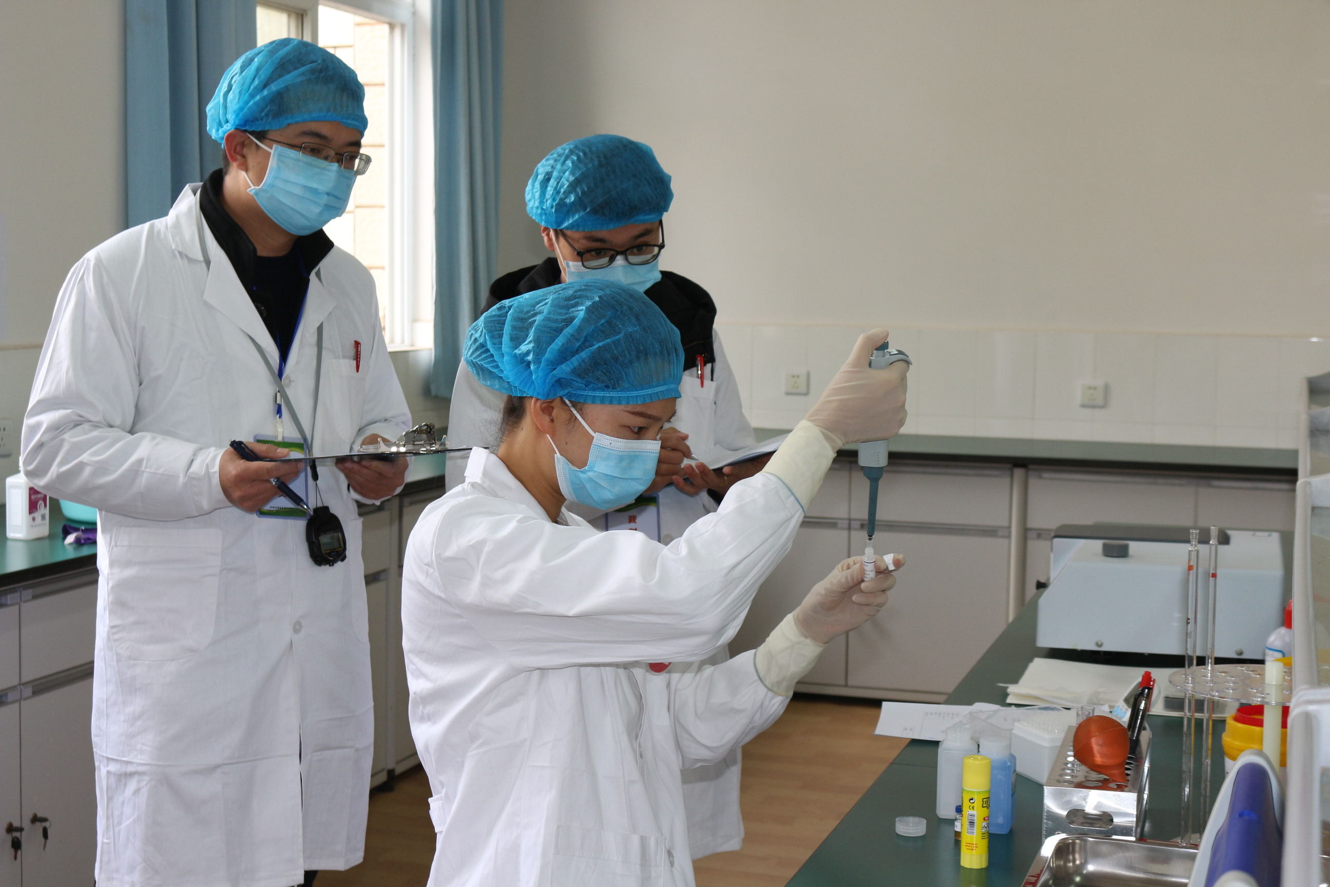 总蛋白测定比赛1