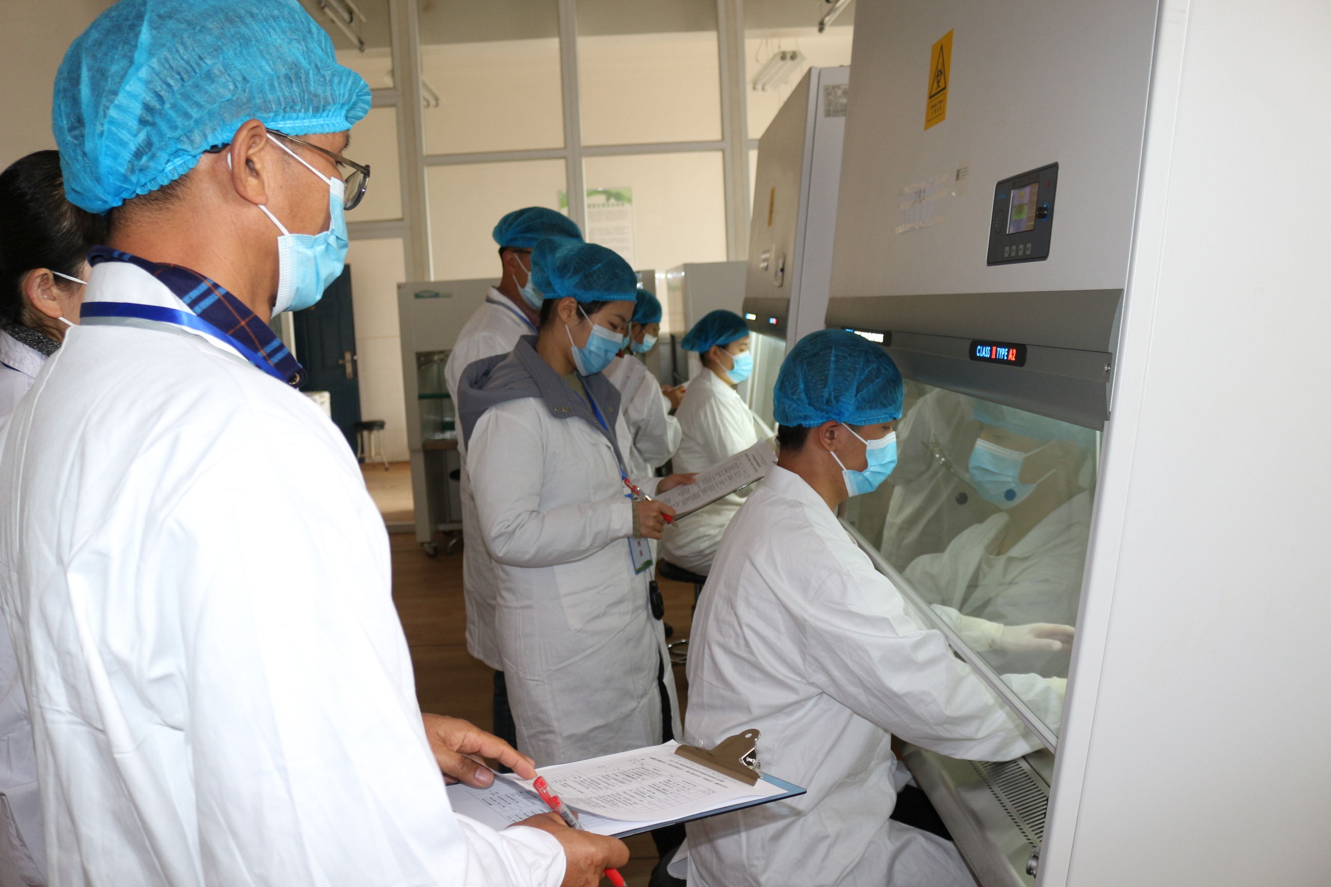 细菌分离划线比赛