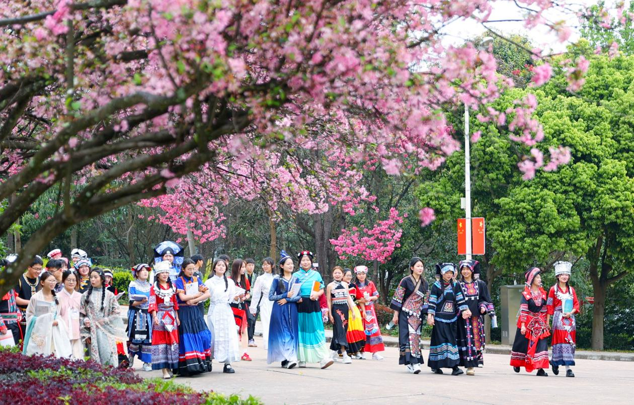 1774235744945049561.png image.png